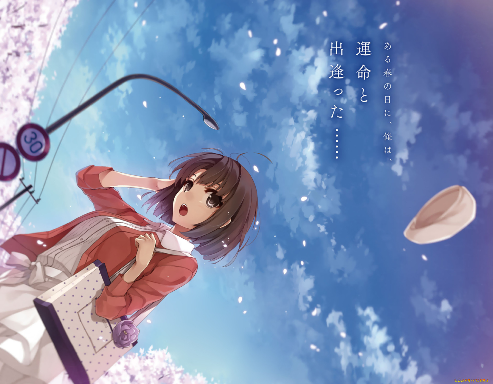 , saenai heroine no sodatekata, , , 